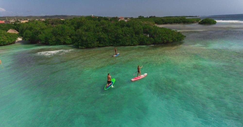 Stand Up Paddle Board Rental