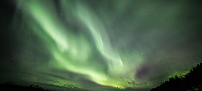 Northern Lights Hunt from Rovaniemi with Campfire