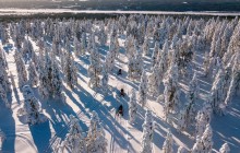 Lapland Family Snowmobile Safari from Rovaniemi