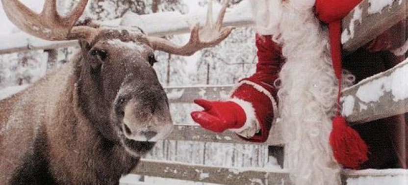 Lapland Ranua Zoo Guided Trip from Rovaniemi