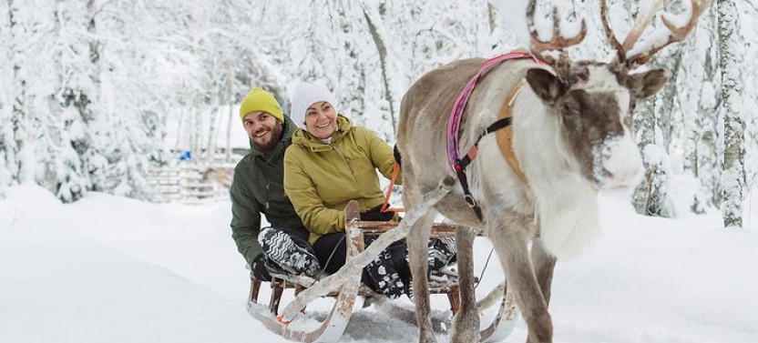 Lapland Reindeer Safari from Rovaniemi