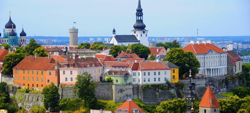 Tallinn Day Cruise & Private Guided Tour from Helsinki
