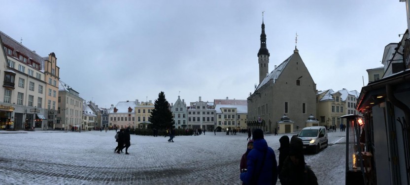 Tallinn Day Cruise & Private Guided Tour from Helsinki