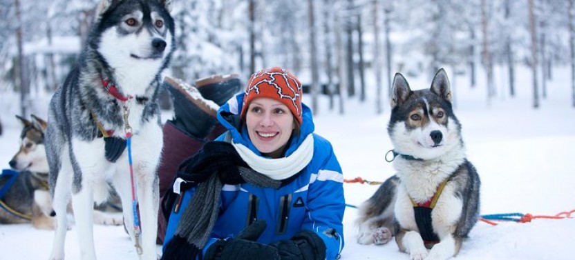 Husky Safari from Rovaniemi including Husky Sled Ride