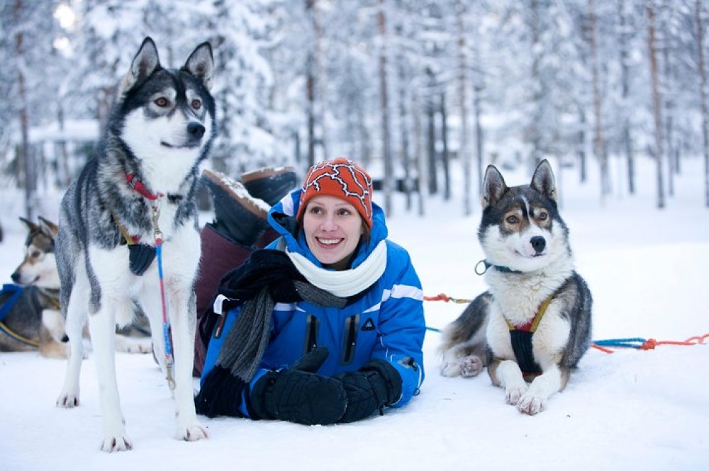 Rovaniemi including Husky Sled Ride - | Project Expedition