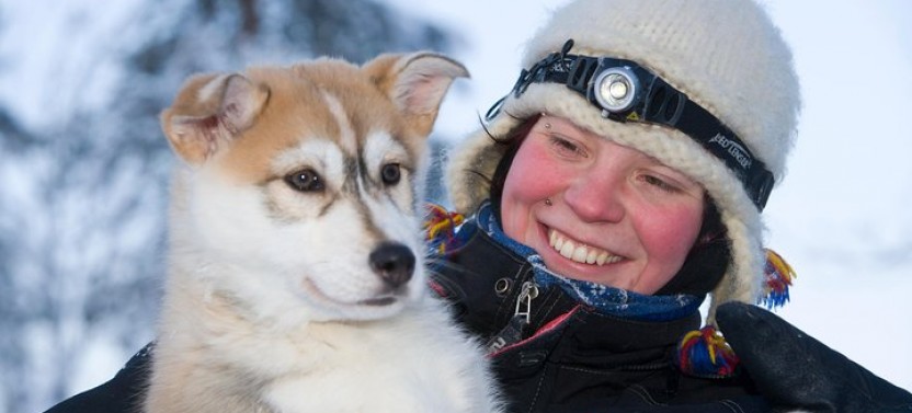 Husky Safari from Rovaniemi including Husky Sled Ride