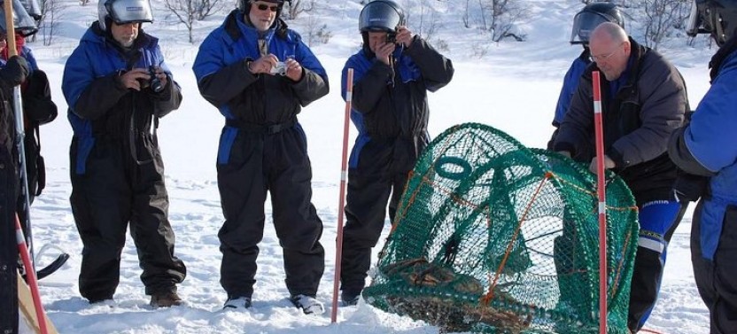 King Crab Safari to Norway from Saariselkä including Lunch