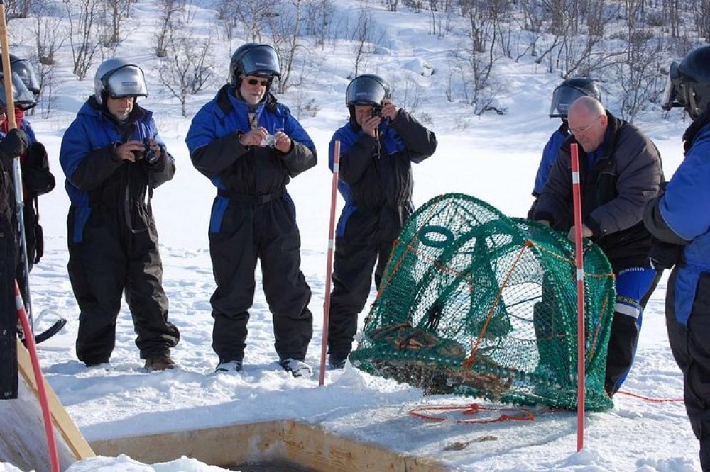 King Crab Safari to Norway from Saariselkä including Lunch