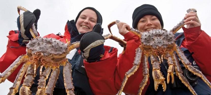 King Crab Safari to Norway from Saariselkä including Lunch