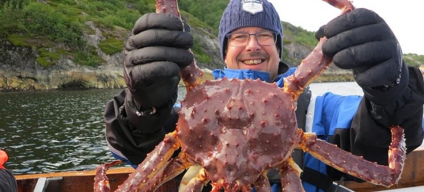 King Crab Safari to Norway from Saariselkä including Lunch