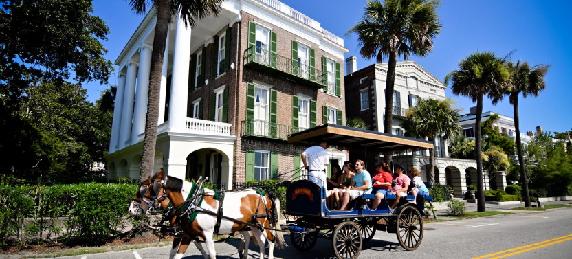 Daytime Group Carriage Tour of Residential District