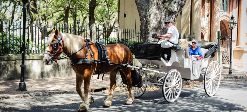 Private Daytime Carriage Tour