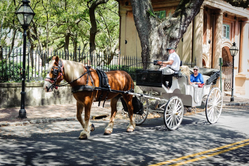charleston sc private carriage tours