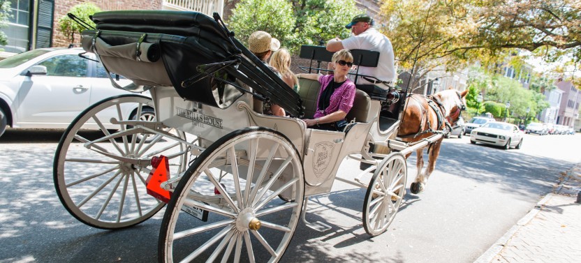 Private Daytime Carriage Tour