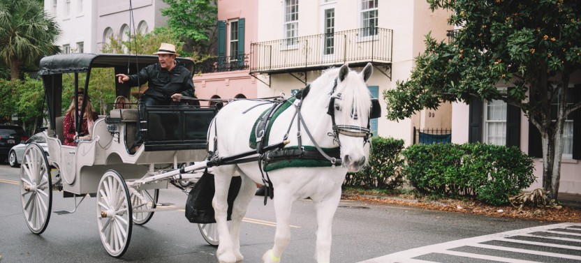 Private Daytime Carriage Tour