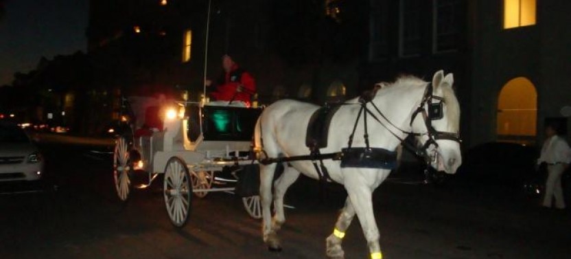 Private Evening Carriage Tour