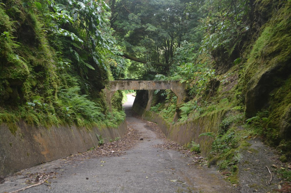 Greencorner Tours