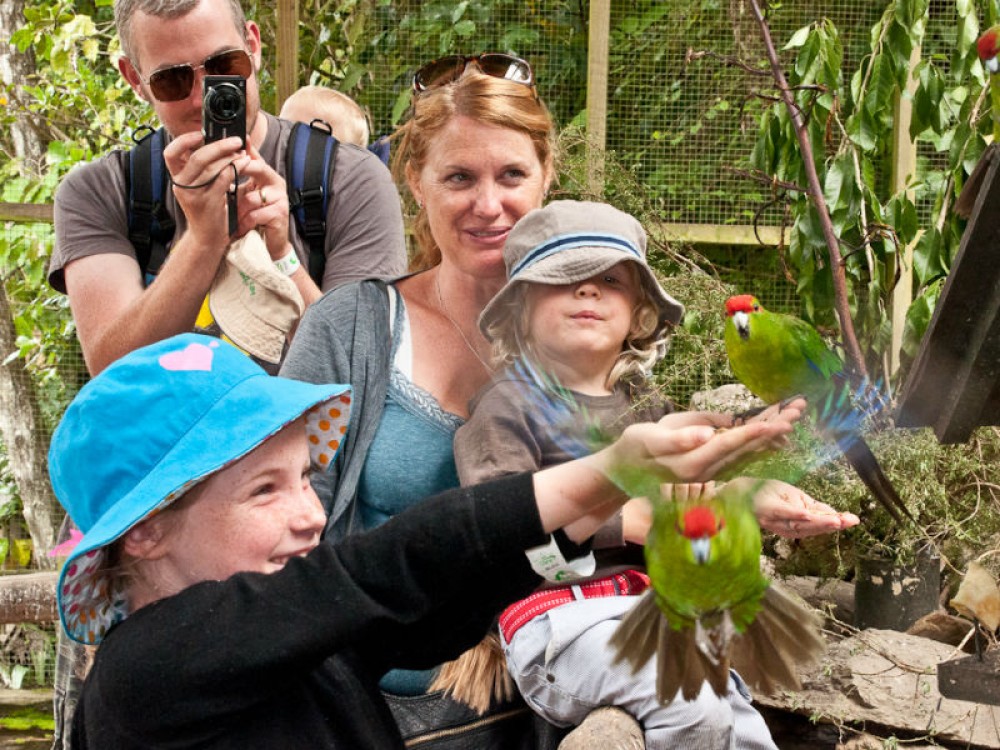 Family Day Out (12:15 pm - 5:00 pm)