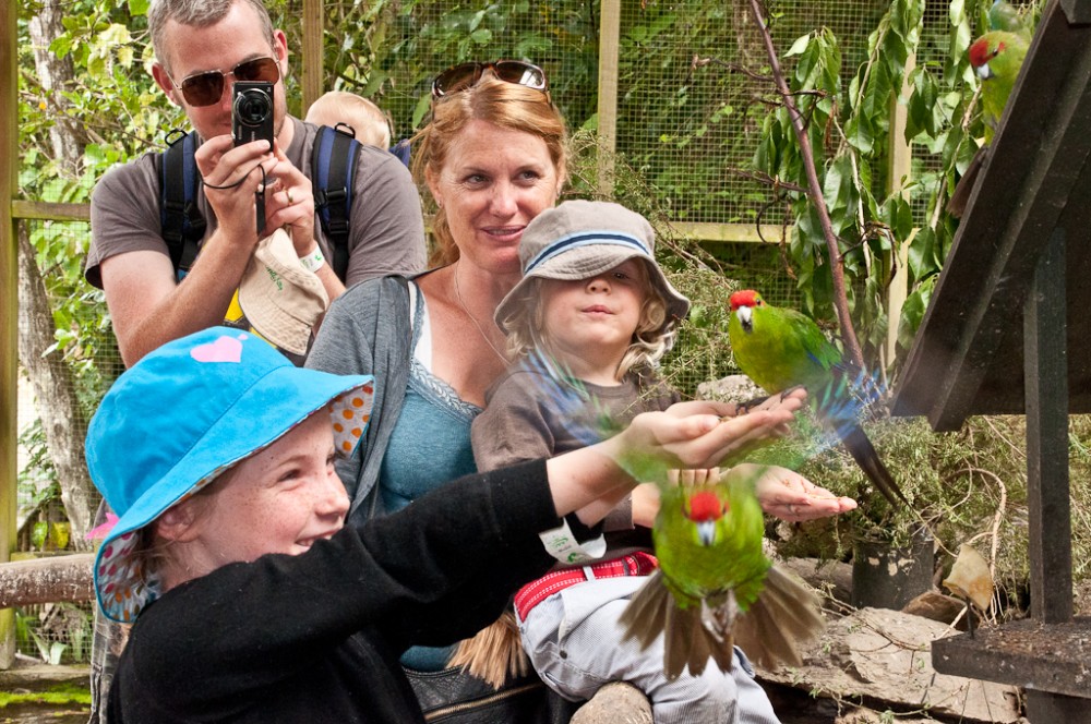 Family Day Out (9 am - 2:45 pm)