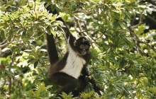 Ecoexperiencias México5