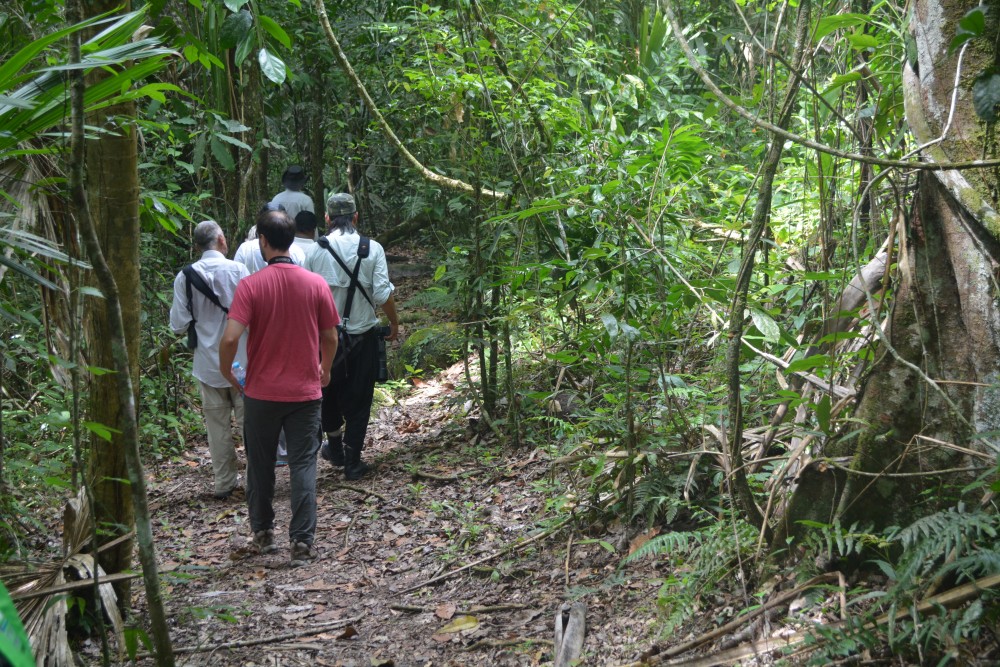 Guacamayas Lodge & Montes Azules Biosphere Reserve With Boat Ride