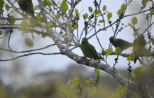 Ecoexperiencias México2