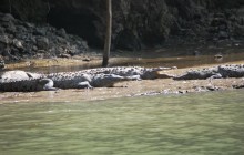 Ecoexperiencias México5