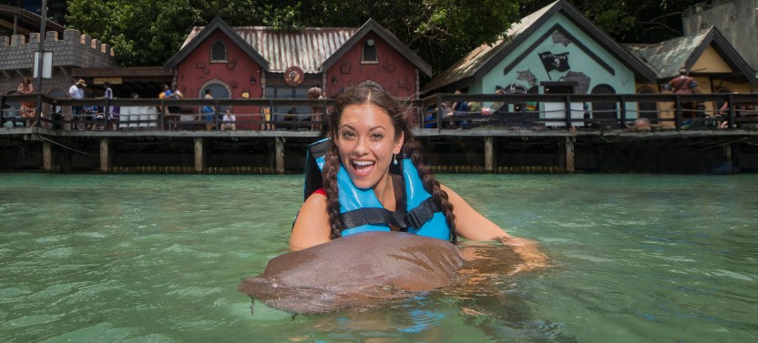 Dolphin Encounter In Dolphin Cove Ocho Rios
