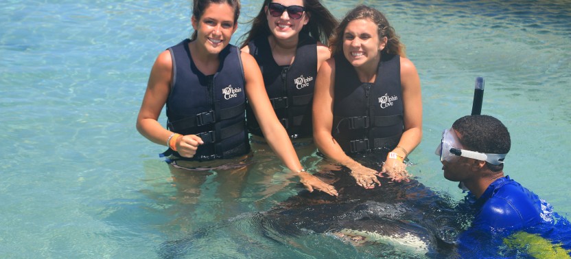Dolphin Encounter In Dolphin Cove Ocho Rios