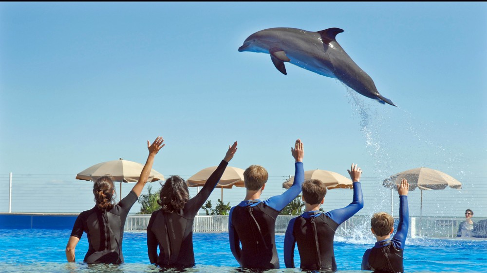 Meet and Greet Experience  Marineland Dolphin Adventure