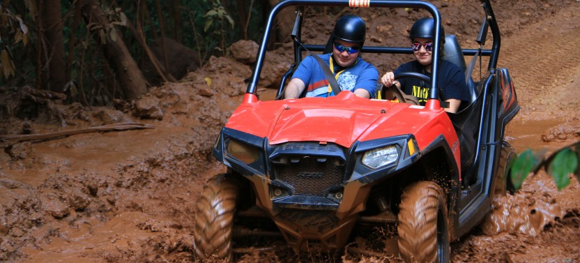 Yaaman Mud Buggy