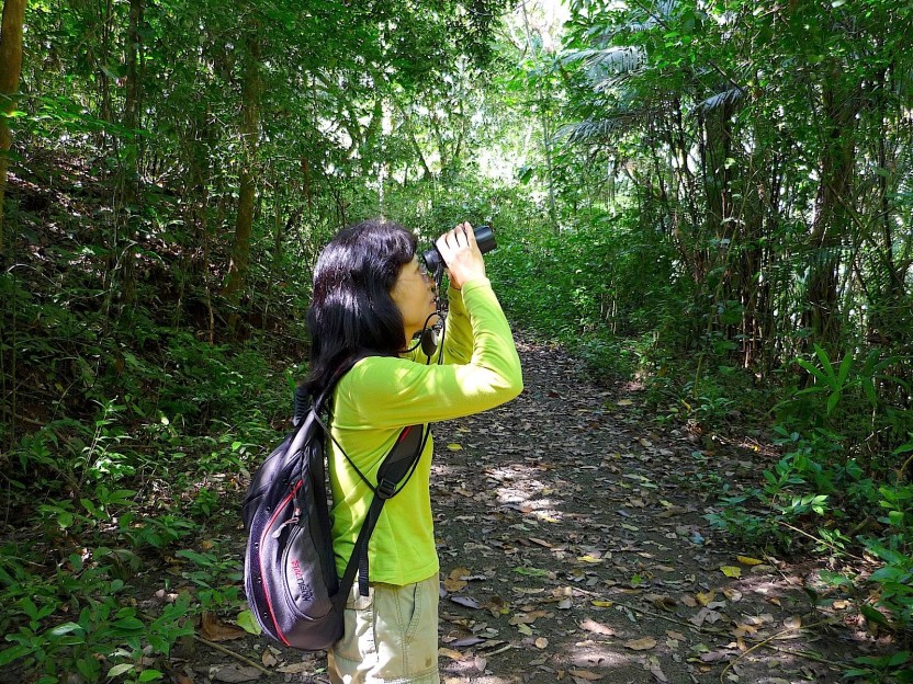 Guided Bird-Watching In Pipeline Road