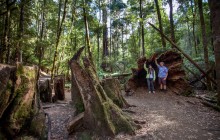 Tours Tasmania3