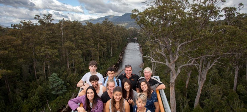Tahune Airwalk & Hastings Cave