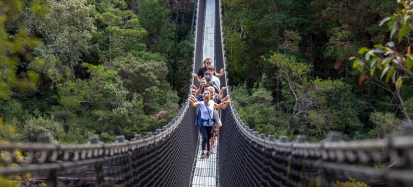 Tahune Airwalk & Hastings Cave