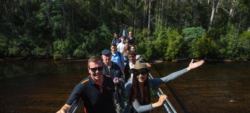 Tahune Airwalk & Hastings Cave