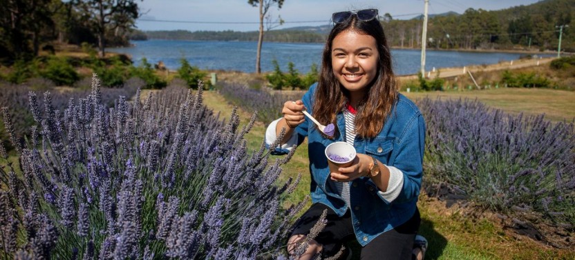 Port Arthur & Lavender