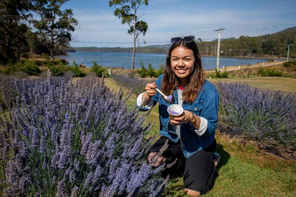 Port Arthur & Lavender