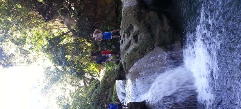 Falmouth Excursion: Dunns River Falls And Blue Hole Tour