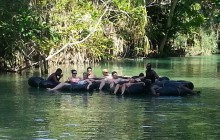 Ocho Rios Excursion: Dunns River Falls And River Tubing Tour