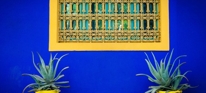 Private Half Day Marrakech City & Majorelle Garden by Car