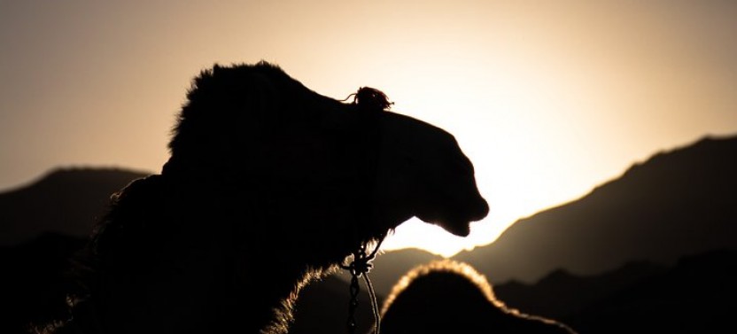 Private Half Day Agafay Desert Sunset Camel Ride & Dinner