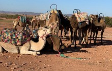 Toubkal Guide5