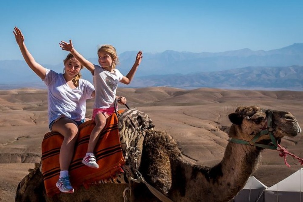 Private Half Day Agafay Desert Camel Ride Tour Marrakesh Project