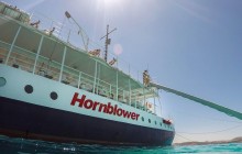 Hornblower Cruises Malta2