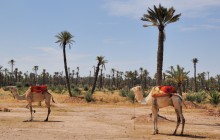 Marrakech Surf & Snow, Tours & Activities in Morocco.10