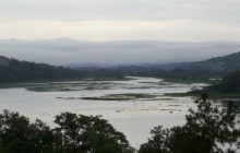 Birding By Boat Tour... At Rio Chagres And The Panama Canal!