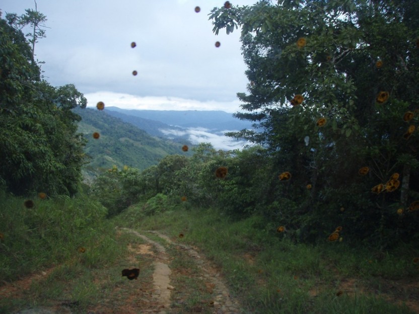 Chagres Challenge Overnight