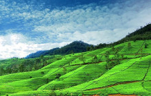 Highlights Of Sri Lanka | 6 Days