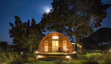 A picture of Private Leopard Nest Luxury Glamping Experience At Yala